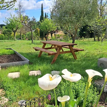 My Quiet Place Near Nyaraló Carcassone