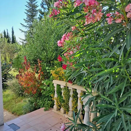 My Quiet Place Near Nyaraló